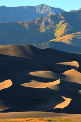 Settling the Sand Dunes