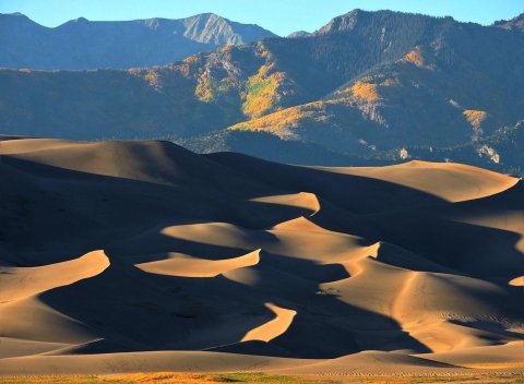 Settling the Sand Dunes