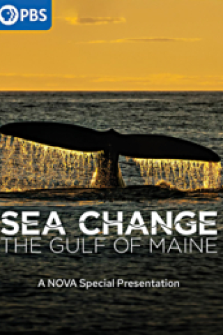 Sea change : the Gulf of Maine