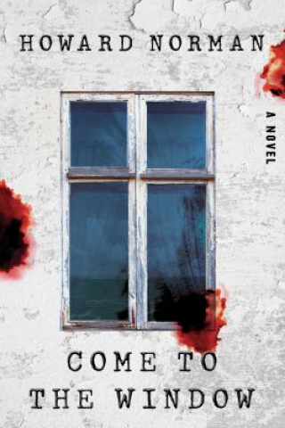 Come to the window : a novel