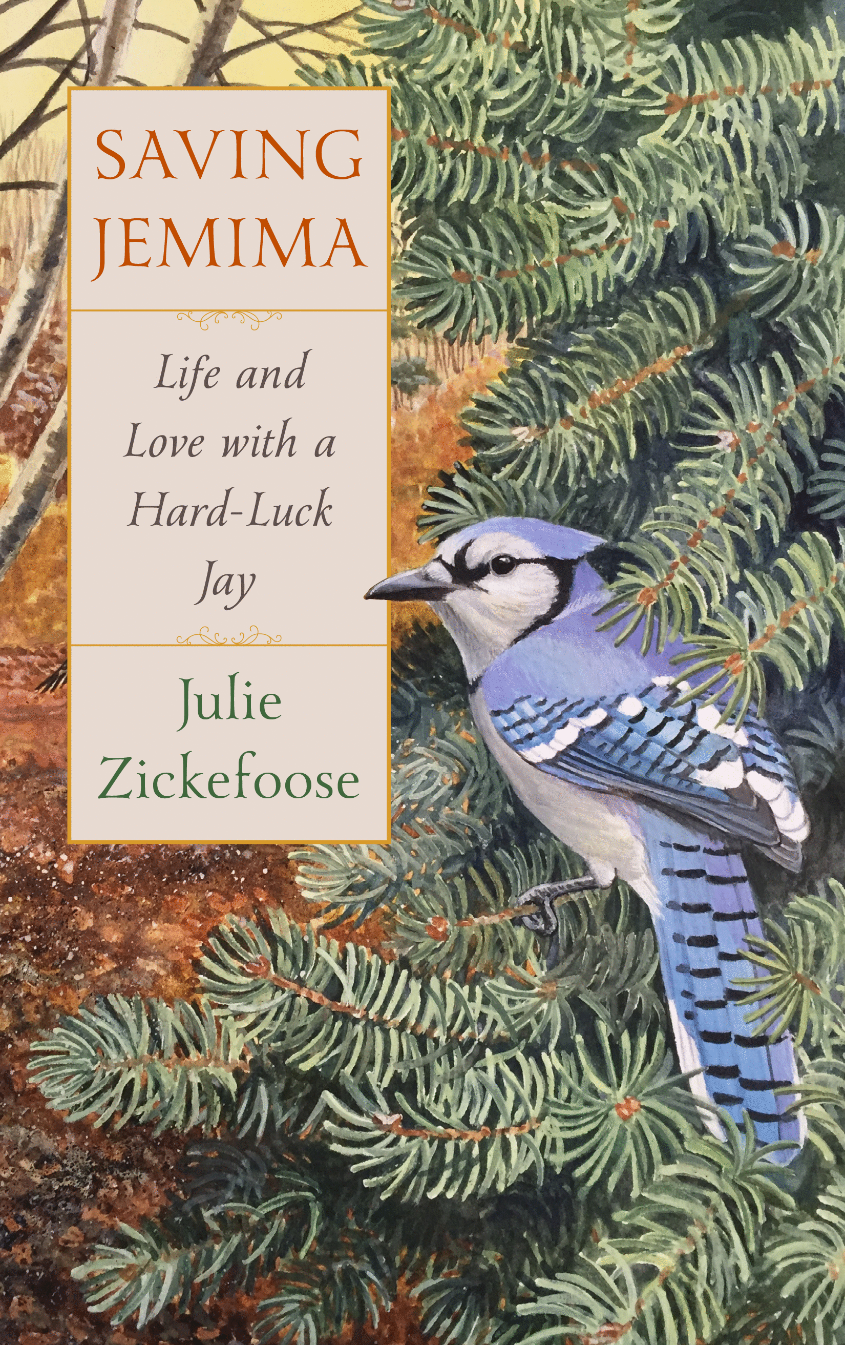 Hard Luck Jay by Julie Zickefoose