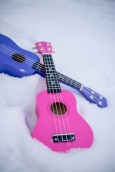 Ukuleles in the Snow
