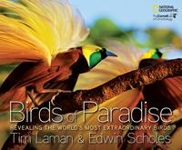 Birds of Paradise