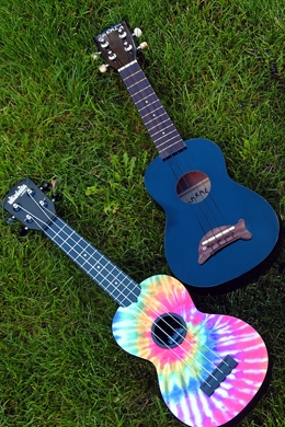 Ukuleles on the Library's Lawn