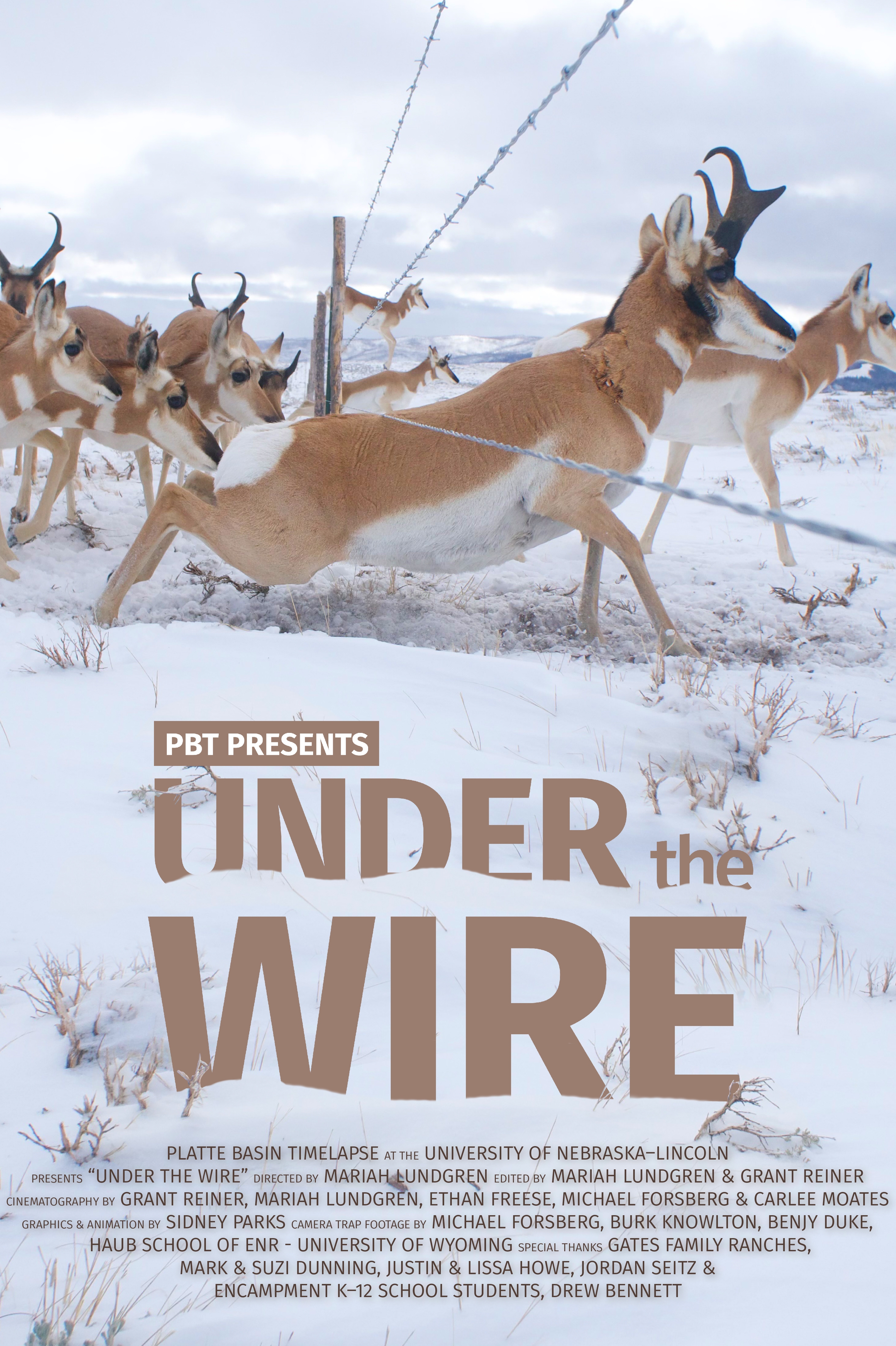 Under The Wire