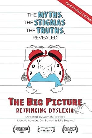 The Big Picture Movie Poster