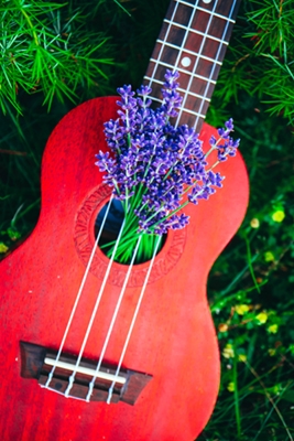 Ukulele Club Spring Jams