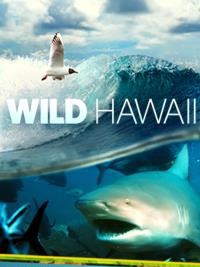 Wild HAWAII