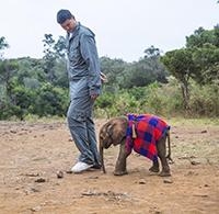 Saving Africa's Giants