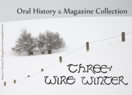 Three Wire Winter Logo