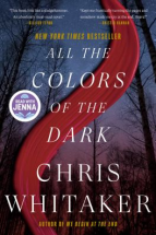 All the colors of the dark : a novel