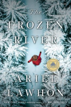 The frozen river : a novel