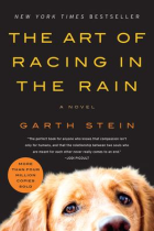 The art of racing in the rain : a novel