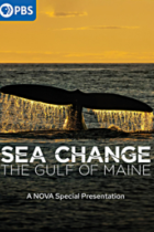 Sea change : the Gulf of Maine