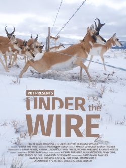 Under The Wire